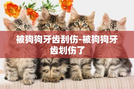 被狗狗牙齒刮傷-被狗狗牙齒劃傷了