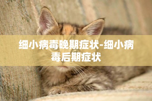 細小病毒晚期癥狀-細小病毒后期癥狀