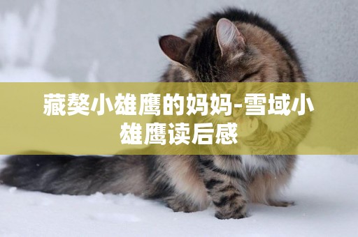 藏獒小雄鷹的媽媽-雪域小雄鷹讀后感