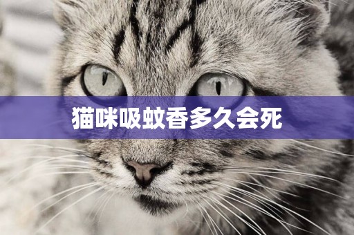 貓咪吸蚊香多久會死
