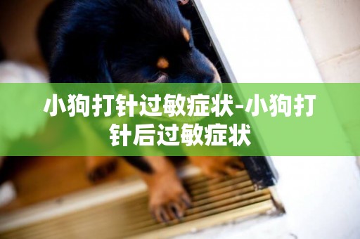 小狗打針過敏癥狀-小狗打針后過敏癥狀