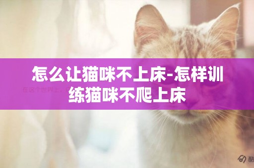 怎么讓貓咪不上床-怎樣訓練貓咪不爬上床