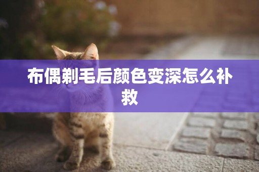 布偶剃毛后顏色變深怎么補救
