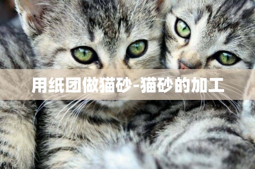 用紙團做貓砂-貓砂的加工