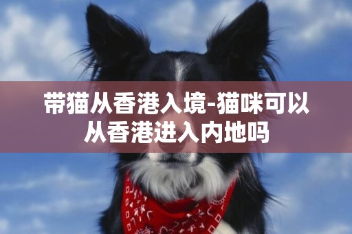 帶貓從香港入境-貓咪可以從香港進入內地嗎