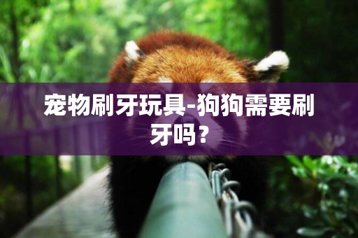 寵物刷牙玩具-狗狗需要刷牙嗎？