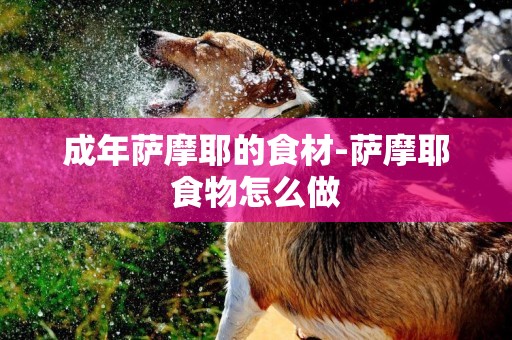 成年薩摩耶的食材-薩摩耶食物怎么做