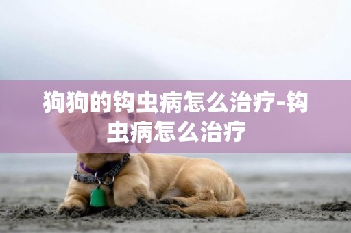 狗狗的鉤蟲病怎么治療-鉤蟲病怎么治療