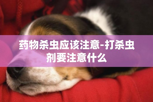 藥物殺蟲應該注意-打殺蟲劑要注意什么