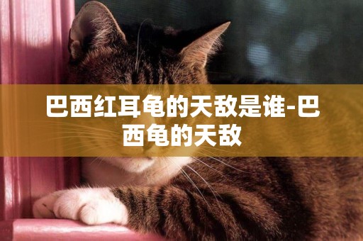 巴西紅耳龜的天敵是誰-巴西龜的天敵