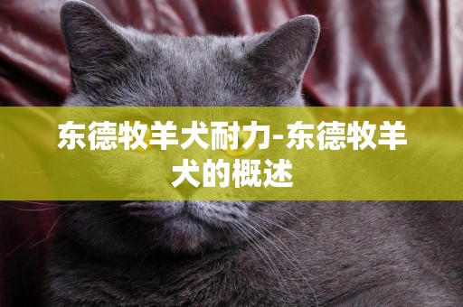 東德牧羊犬耐力-東德牧羊犬的概述