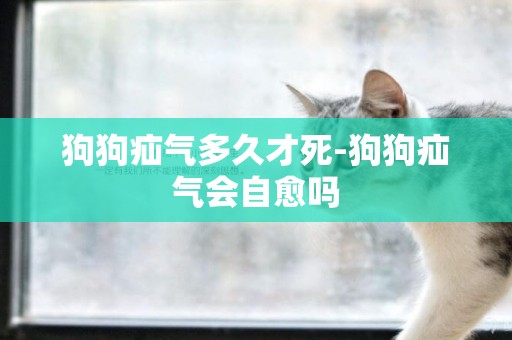 狗狗疝氣多久才死-狗狗疝氣會自愈嗎