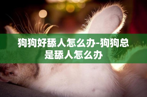 狗狗好舔人怎么辦-狗狗總是舔人怎么辦