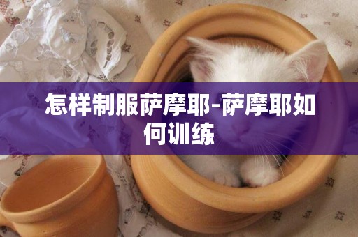 怎樣制服薩摩耶-薩摩耶如何訓練