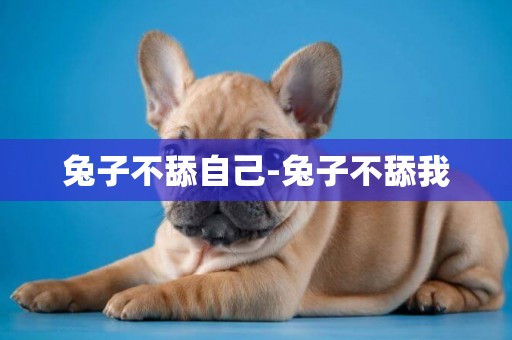 兔子不舔自己-兔子不舔我