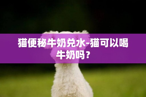 貓便秘牛奶兌水-貓可以喝牛奶嗎？