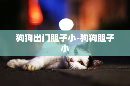 狗狗出門膽子小-狗狗膽子小