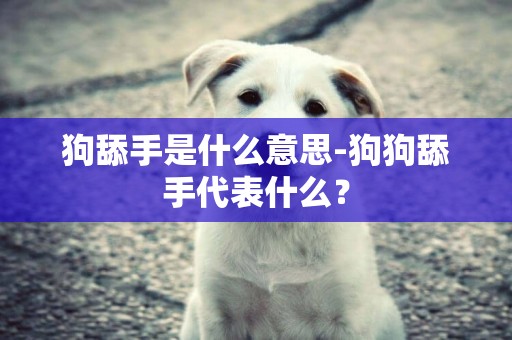 狗舔手是什么意思-狗狗舔手代表什么？