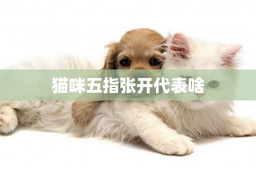 貓咪五指張開代表啥