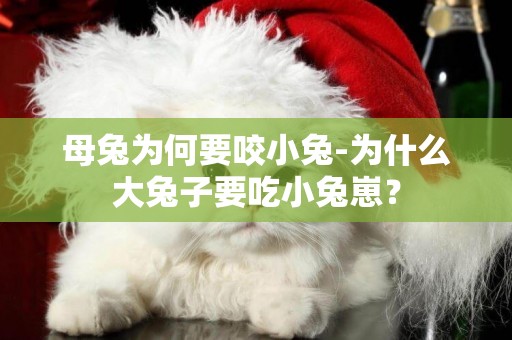 母兔為何要咬小兔-為什么大兔子要吃小兔崽？