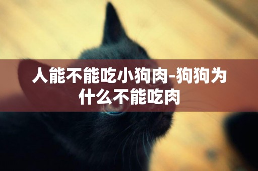 人能不能吃小狗肉-狗狗為什么不能吃肉