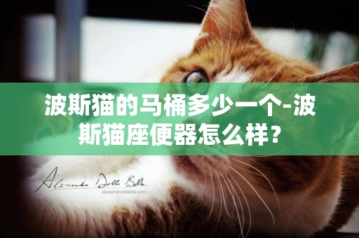 波斯貓的馬桶多少一個-波斯貓座便器怎么樣？