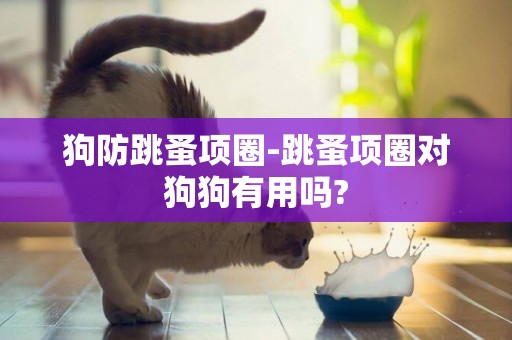 狗防跳蚤項圈-跳蚤項圈對狗狗有用嗎?