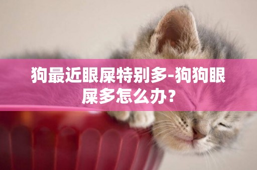 狗最近眼屎特別多-狗狗眼屎多怎么辦？