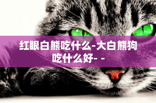 紅眼白熊吃什么-大白熊狗吃什么好- -