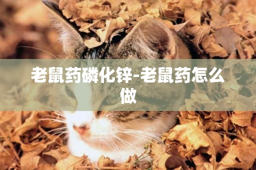 老鼠藥磷化鋅-老鼠藥怎么做