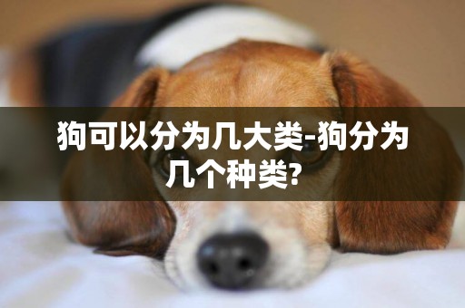 狗可以分為幾大類-狗分為幾個種類?