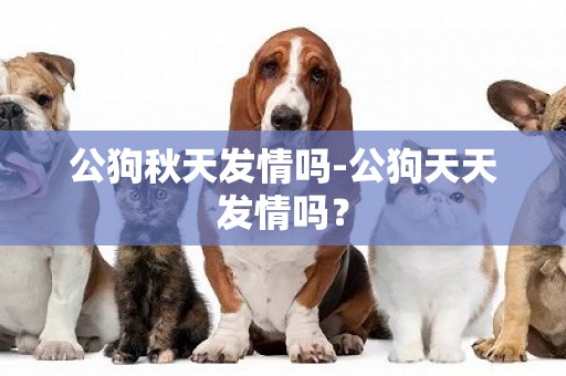 公狗秋天發情嗎-公狗天天發情嗎？