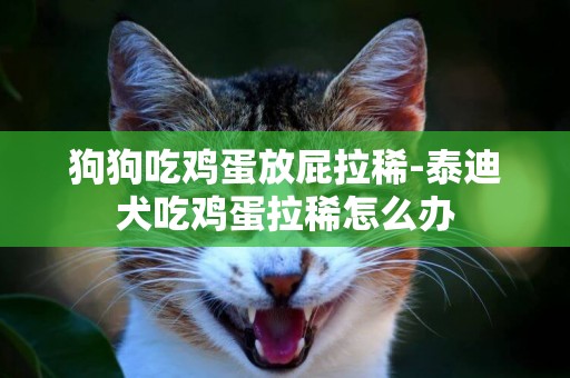 狗狗吃雞蛋放屁拉稀-泰迪犬吃雞蛋拉稀怎么辦