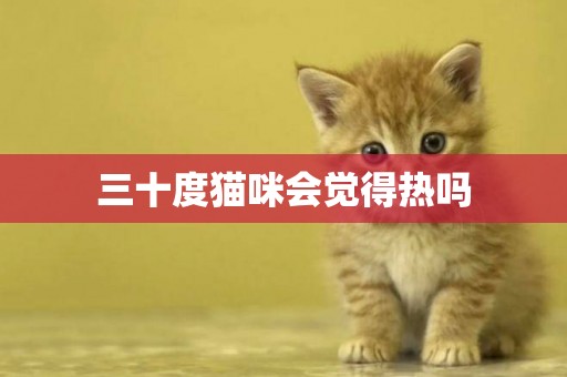 三十度貓咪會覺得熱嗎