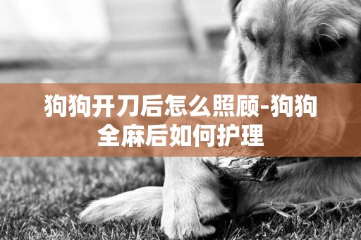 狗狗開刀后怎么照顧-狗狗全麻后如何護理