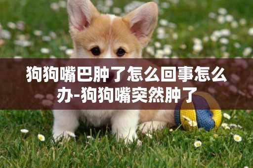 狗狗嘴巴腫了怎么回事怎么辦-狗狗嘴突然腫了