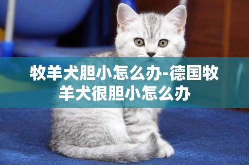 牧羊犬膽小怎么辦-德國牧羊犬很膽小怎么辦