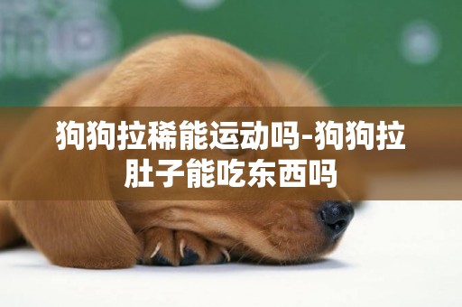 狗狗拉稀能運動嗎-狗狗拉肚子能吃東西嗎