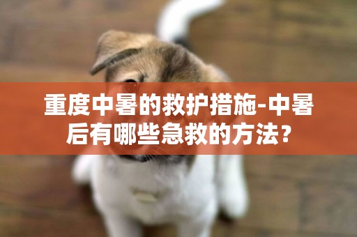 重度中暑的救護措施-中暑后有哪些急救的方法？
