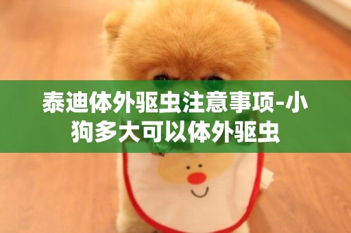 泰迪體外驅蟲注意事項-小狗多大可以體外驅蟲