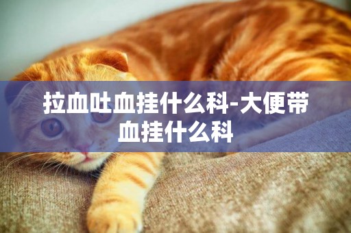 拉血吐血掛什么科-大便帶血掛什么科