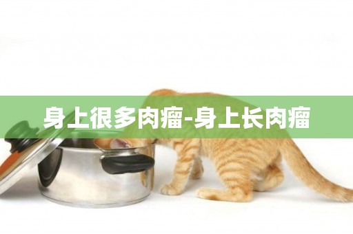 身上很多肉瘤-身上長肉瘤