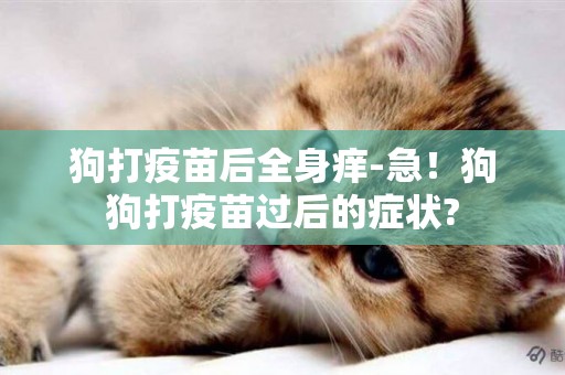 狗打疫苗后全身癢-急！狗狗打疫苗過后的癥狀?