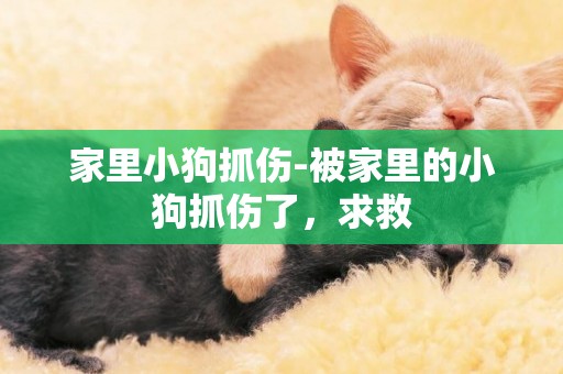 家里小狗抓傷-被家里的小狗抓傷了，求救