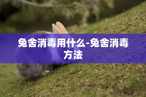 兔舍消毒用什么-兔舍消毒方法