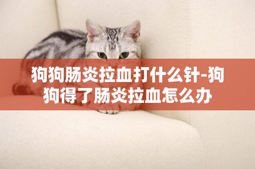 狗狗腸炎拉血打什么針-狗狗得了腸炎拉血怎么辦