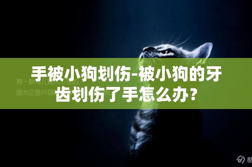 手被小狗劃傷-被小狗的牙齒劃傷了手怎么辦？