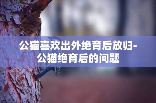 公貓喜歡出外絕育后放歸-公貓絕育后的問題