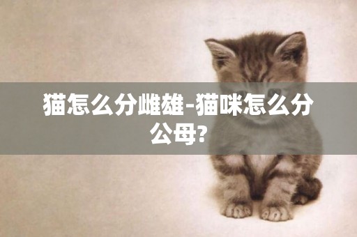 貓怎么分雌雄-貓咪怎么分公母?