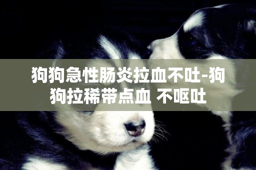 狗狗急性腸炎拉血不吐-狗狗拉稀帶點血 不嘔吐